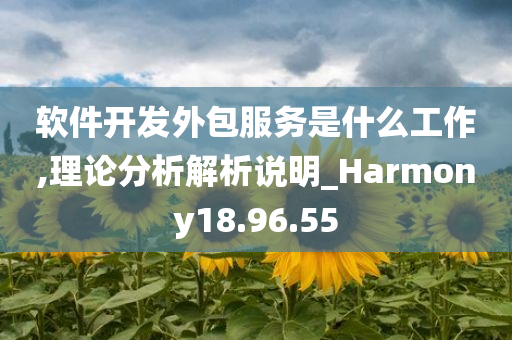 软件开发外包服务是什么工作,理论分析解析说明_Harmony18.96.55