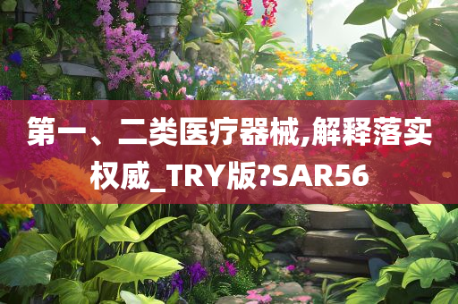 第一、二类医疗器械,解释落实权威_TRY版?SAR56