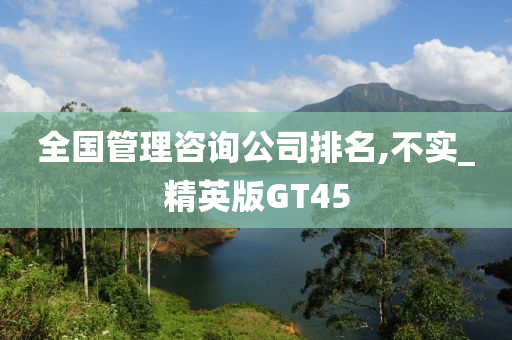 全国管理咨询公司排名,不实_精英版GT45