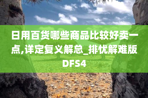 日用百货哪些商品比较好卖一点,详定复义解总_排忧解难版DFS4