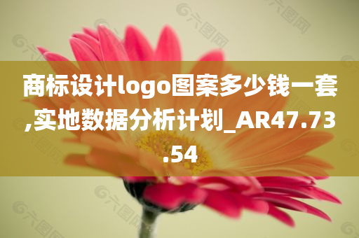 商标设计logo图案多少钱一套,实地数据分析计划_AR47.73.54