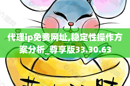 代理ip免费网址,稳定性操作方案分析_尊享版33.30.63