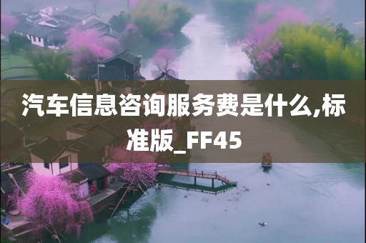 汽车信息咨询服务费是什么,标准版_FF45