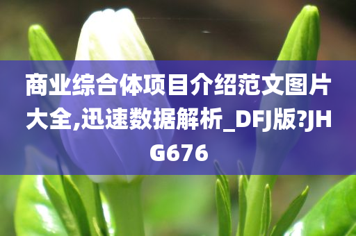 商业综合体项目介绍范文图片大全,迅速数据解析_DFJ版?JHG676