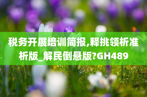 税务开展培训简报,释挑领析准析版_解民倒悬版?GH489