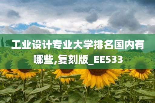 工业设计专业大学排名国内有哪些,复刻版_EE533