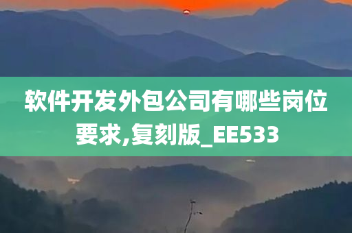 软件开发外包公司有哪些岗位要求,复刻版_EE533