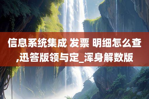 信息系统集成 发票 明细怎么查,迅答版领与定_浑身解数版