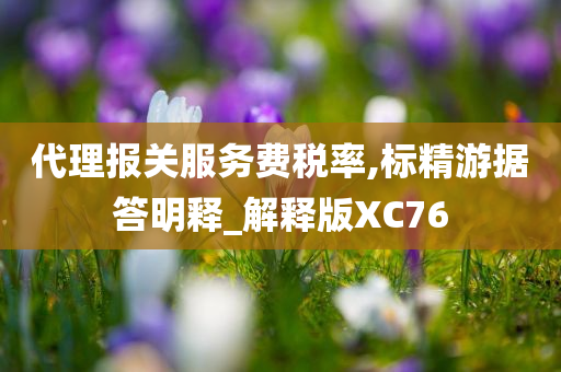 代理报关服务费税率,标精游据答明释_解释版XC76