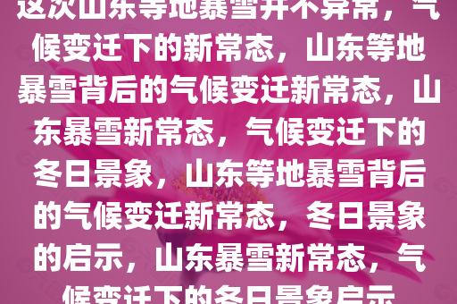 这次山东等地暴雪并不异常，气候变迁下的新常态，山东等地暴雪背后的气候变迁新常态，山东暴雪新常态，气候变迁下的冬日景象，山东等地暴雪背后的气候变迁新常态，冬日景象的启示，山东暴雪新常态，气候变迁下的冬日景象启示