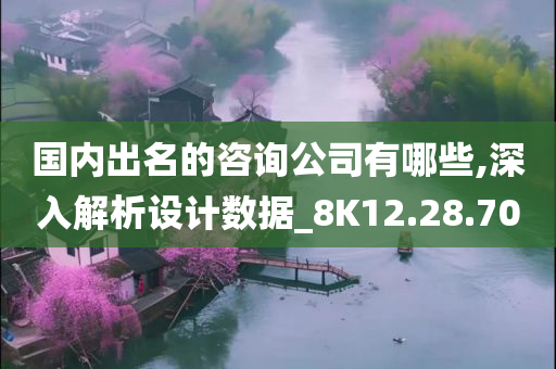 国内出名的咨询公司有哪些,深入解析设计数据_8K12.28.70