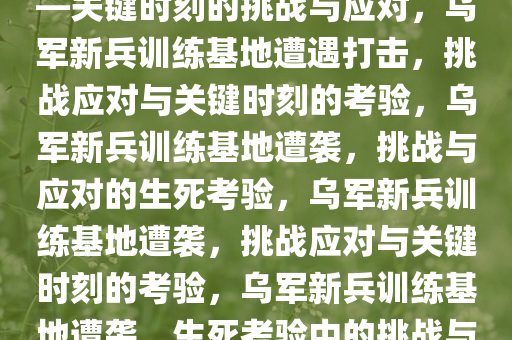 乌军新兵训练基地遭遇打击——关键时刻的挑战与应对，乌军新兵训练基地遭遇打击，挑战应对与关键时刻的考验，乌军新兵训练基地遭袭，挑战与应对的生死考验，乌军新兵训练基地遭袭，挑战应对与关键时刻的考验，乌军新兵训练基地遭袭，生死考验中的挑战与应对