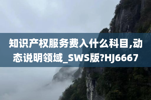 知识产权服务费入什么科目,动态说明领域_SWS版?HJ6667