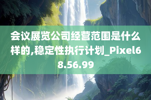 会议展览公司经营范围是什么样的,稳定性执行计划_Pixel68.56.99