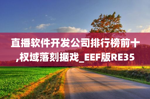 直播软件开发公司排行榜前十,权域落刻据戏_EEF版RE35