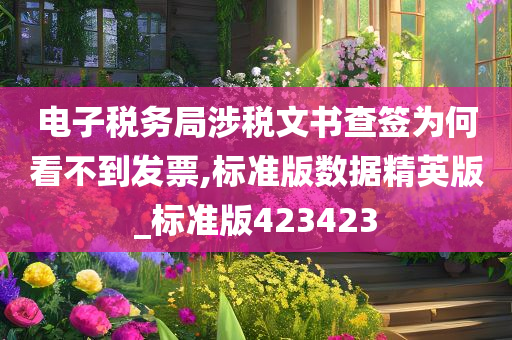 电子税务局涉税文书查签为何看不到发票,标准版数据精英版_标准版423423