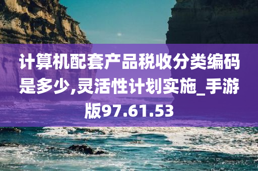 计算机配套产品税收分类编码是多少,灵活性计划实施_手游版97.61.53