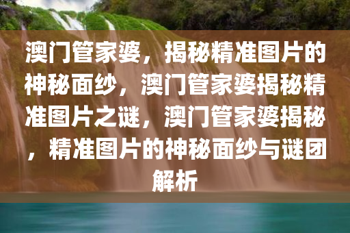 澳门管家婆，揭秘精准图片的神秘面纱，澳门管家婆揭秘精准图片之谜，澳门管家婆揭秘，精准图片的神秘面纱与谜团解析