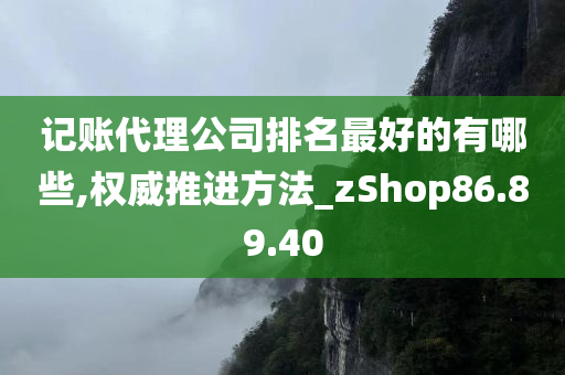 记账代理公司排名最好的有哪些,权威推进方法_zShop86.89.40