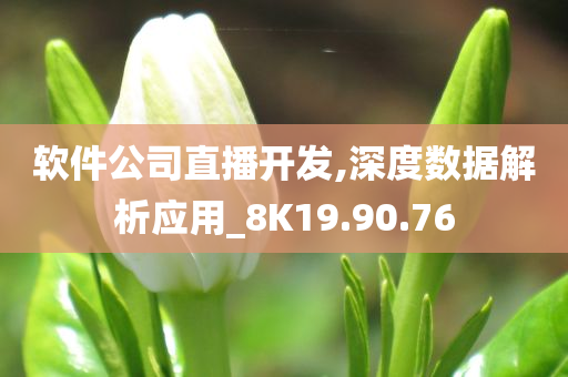 软件公司直播开发,深度数据解析应用_8K19.90.76