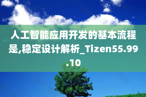 人工智能应用开发的基本流程是,稳定设计解析_Tizen55.99.10