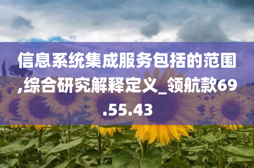 信息系统集成服务包括的范围,综合研究解释定义_领航款69.55.43