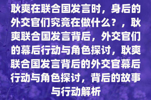 耿爽在联合国发言时，身后的外交官们究竟在做什么？，耿爽联合国发言背后，外交官们的幕后行动与角色探讨，耿爽联合国发言背后的外交官幕后行动与角色探讨，背后的故事与行动解析