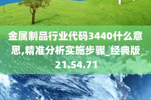 金属制品行业代码3440什么意思,精准分析实施步骤_经典版21.54.71