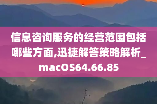 信息咨询服务的经营范围包括哪些方面,迅捷解答策略解析_macOS64.66.85