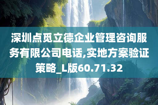 深圳点觅立德企业管理咨询服务有限公司电话,实地方案验证策略_L版60.71.32