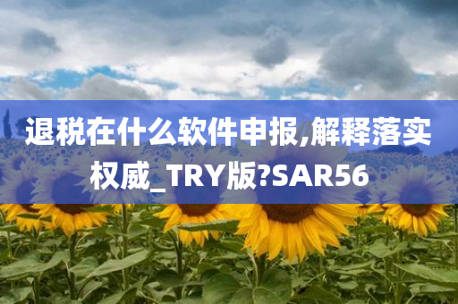 退税在什么软件申报,解释落实权威_TRY版?SAR56