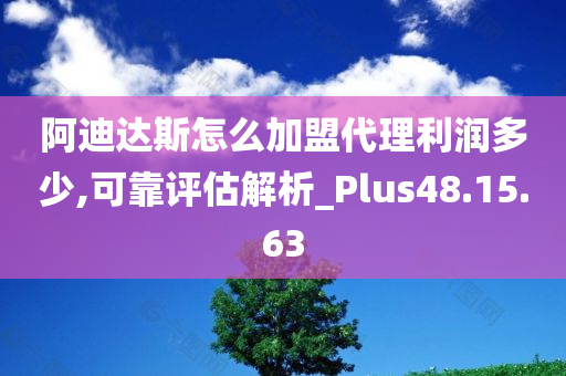 阿迪达斯怎么加盟代理利润多少,可靠评估解析_Plus48.15.63