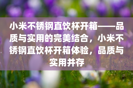 小米不锈钢直饮杯开箱——品质与实用的完美结合，小米不锈钢直饮杯开箱体验，品质与实用并存