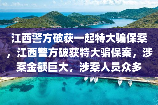 江西警方破获一起特大骗保案，江西警方破获特大骗保案，涉案金额巨大，涉案人员众多