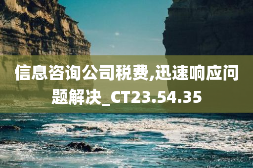 信息咨询公司税费,迅速响应问题解决_CT23.54.35