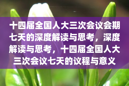 十四届全国人大三次会议会期七天的深度解读与思考，深度解读与思考，十四届全国人大三次会议七天的议程与意义