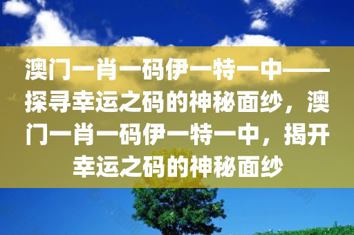 澳门一肖一码伊一特一中——探寻幸运之码的神秘面纱，澳门一肖一码伊一特一中，揭开幸运之码的神秘面纱