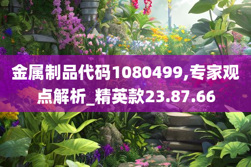 金属制品代码1080499,专家观点解析_精英款23.87.66