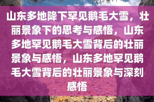 山东多地降下罕见鹅毛大雪，壮丽景象下的思考与感悟，山东多地罕见鹅毛大雪背后的壮丽景象与感悟，山东多地罕见鹅毛大雪背后的壮丽景象与深刻感悟