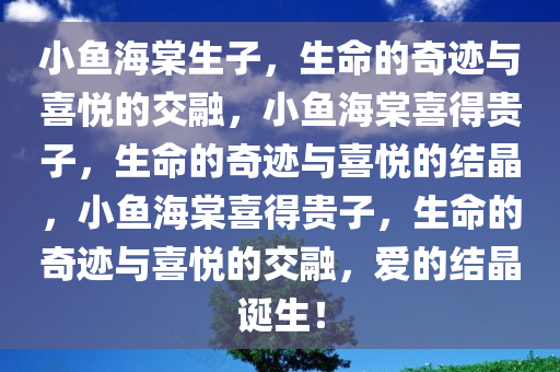 小鱼海棠生子，生命的奇迹与喜悦的交融，小鱼海棠喜得贵子，生命的奇迹与喜悦的结晶，小鱼海棠喜得贵子，生命的奇迹与喜悦的交融，爱的结晶诞生！