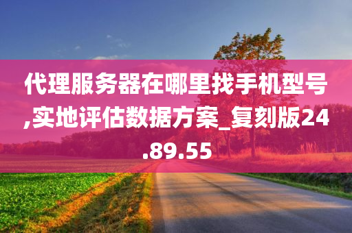 代理服务器在哪里找手机型号,实地评估数据方案_复刻版24.89.55