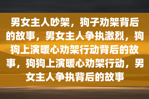 男女主人吵架，狗子劝架背后的故事，男女主人争执激烈，狗狗上演暖心劝架行动背后的故事