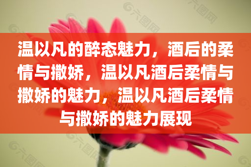 温以凡的醉态魅力，酒后的柔情与撒娇，温以凡酒后柔情与撒娇的魅力，温以凡酒后柔情与撒娇的魅力展现