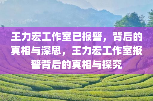 王力宏工作室已报警，背后的真相与深思，王力宏工作室报警背后的真相与探究