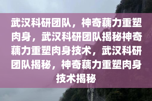 武汉科研团队，神奇藕力重塑肉身，武汉科研团队揭秘神奇藕力重塑肉身技术