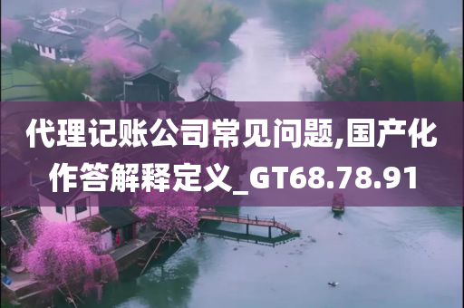 代理记账公司常见问题,国产化作答解释定义_GT68.78.91