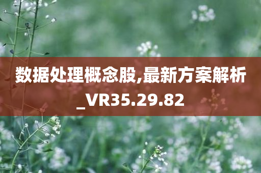 数据处理概念股,最新方案解析_VR35.29.82