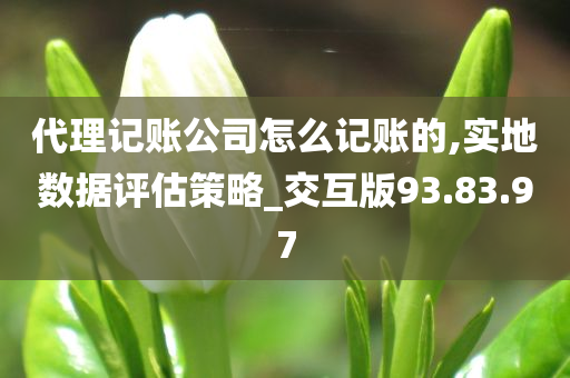 代理记账公司怎么记账的,实地数据评估策略_交互版93.83.97