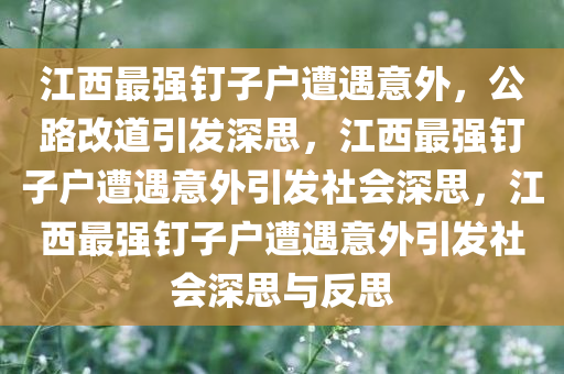 江西最强钉子户没料到公路改道