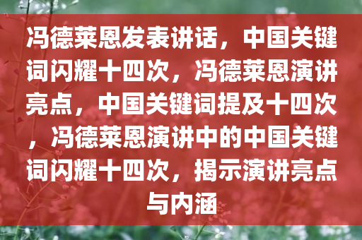 冯德莱恩发表讲话，中国关键词闪耀十四次，冯德莱恩演讲亮点，中国关键词提及十四次，冯德莱恩演讲中的中国关键词闪耀十四次，揭示演讲亮点与内涵